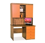 תמונה של שולחנות מחשב: שולחן + כוורת לחדר ילדים דגם גילי